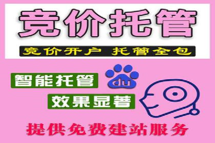探索百度竞价账户托管的奥秘：多行业成功经验分享